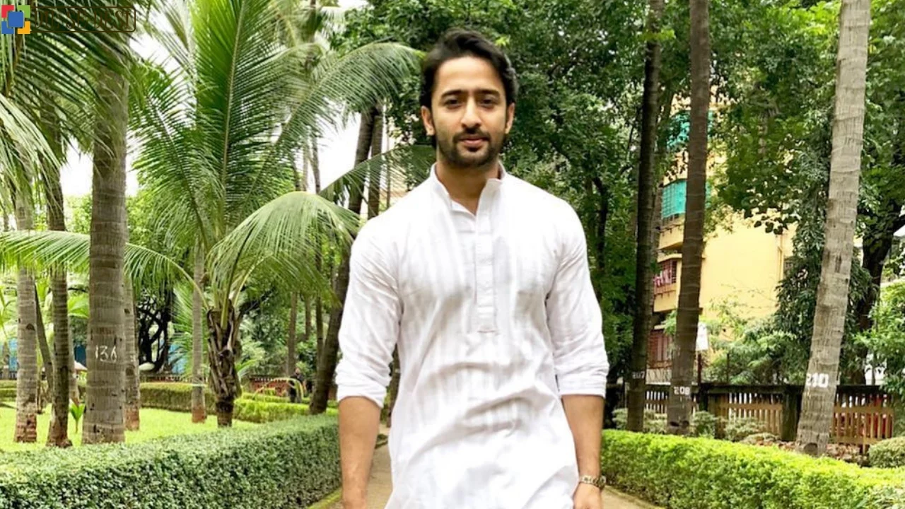  Shaheer Sheikh Biography in Hindi