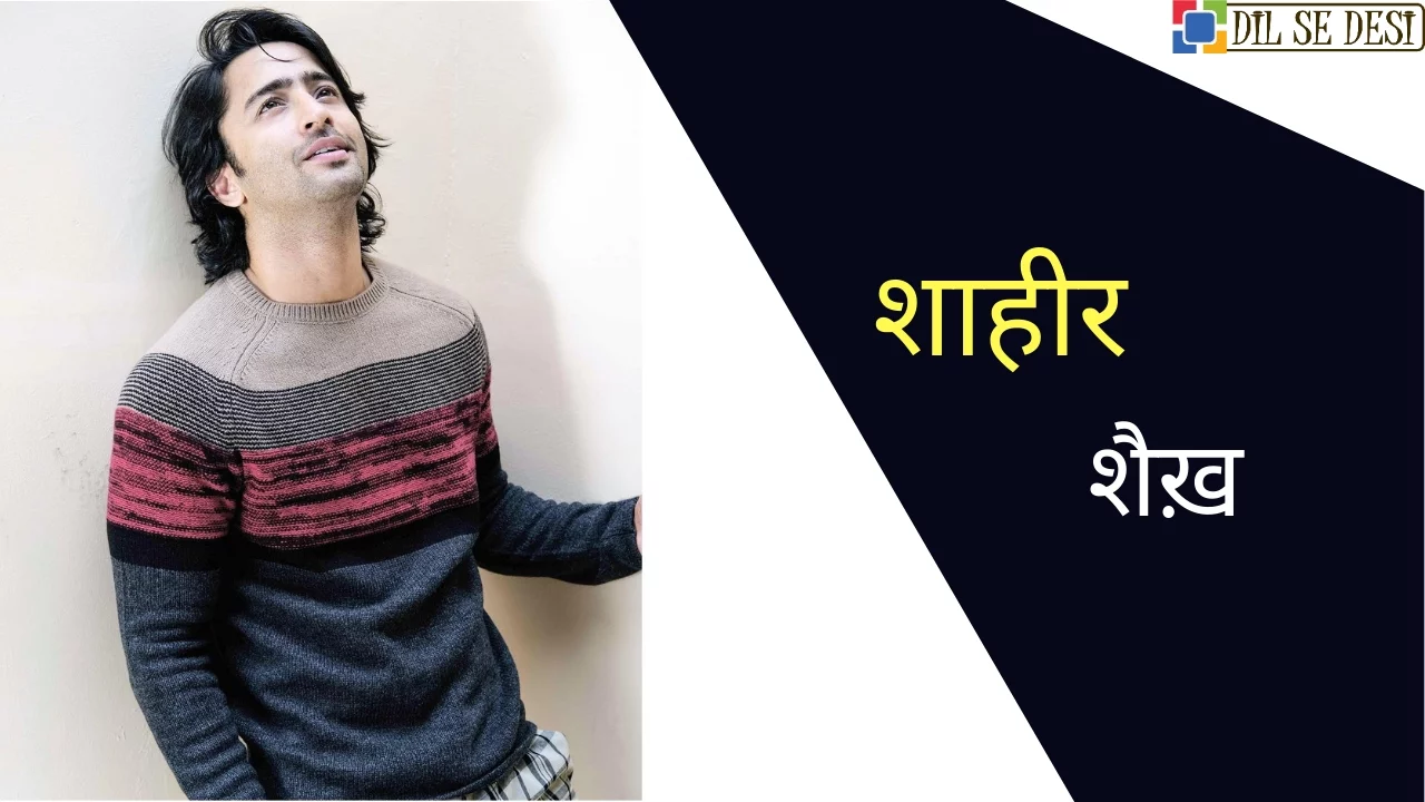 Shaheer Sheikh Biography in Hindi