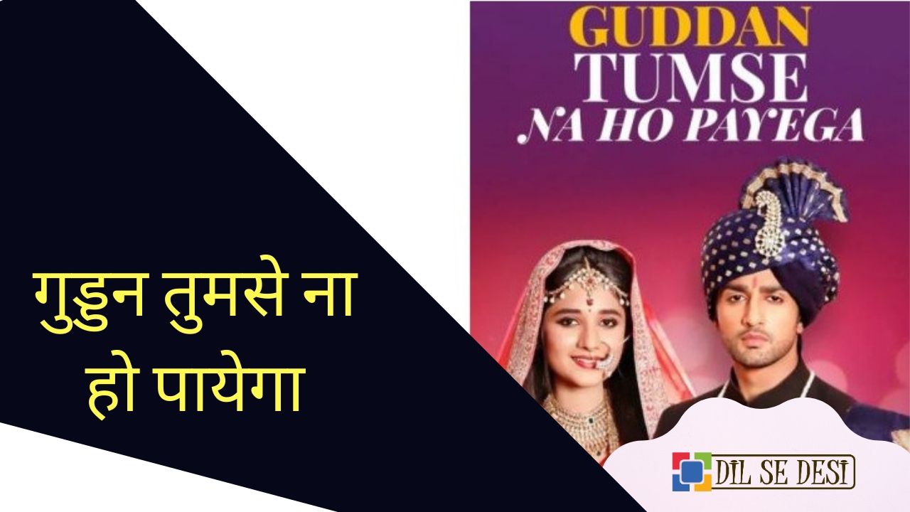 Guddan Tumse Na Ho Payega (Zee TV) Details in Hindi