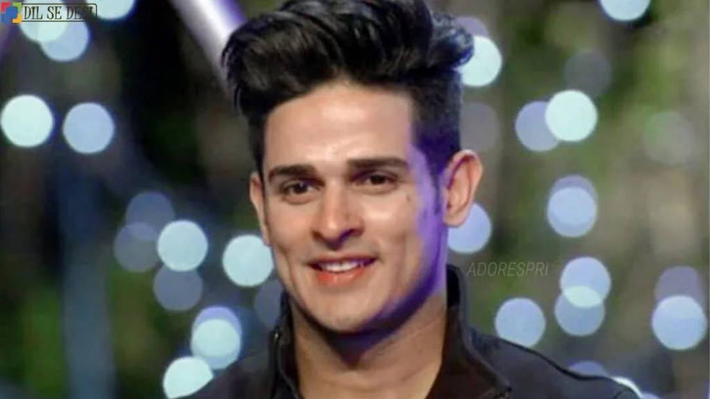 Priyank Sharma (Actor) Biography in Hindi (2)