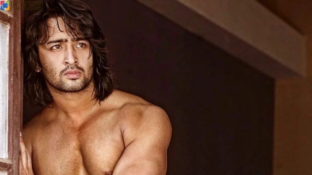 Shaheer Sheikh (Actor) Biography in Hindi (5)