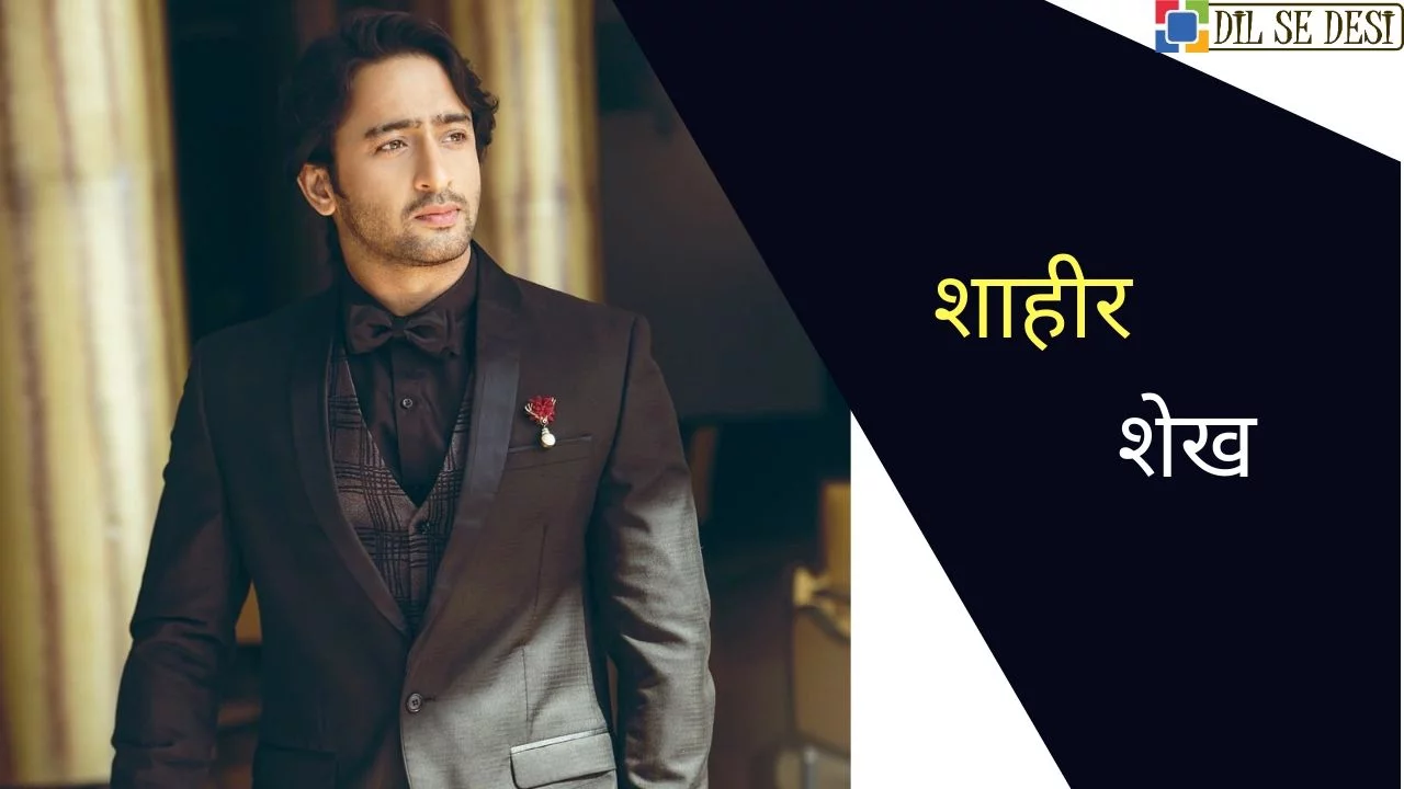 Shaheer Sheikh (Actor) Biography in Hindi