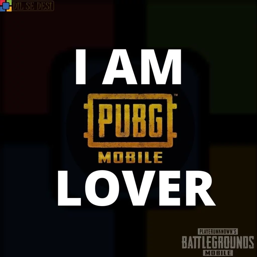 Best PUBG Status, Shayari, Quotes Images in Hindi (1)