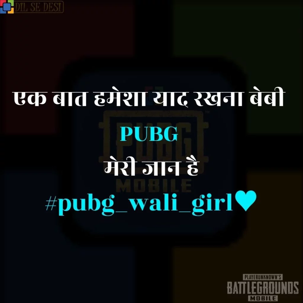 Best PUBG Status, Shayari, Quotes Images in Hindi (39)