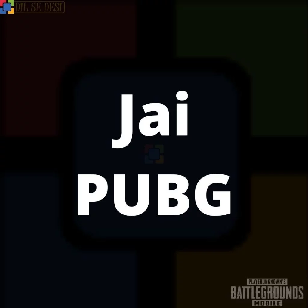 Best PUBG Status, Shayari, Quotes Images in Hindi (4)