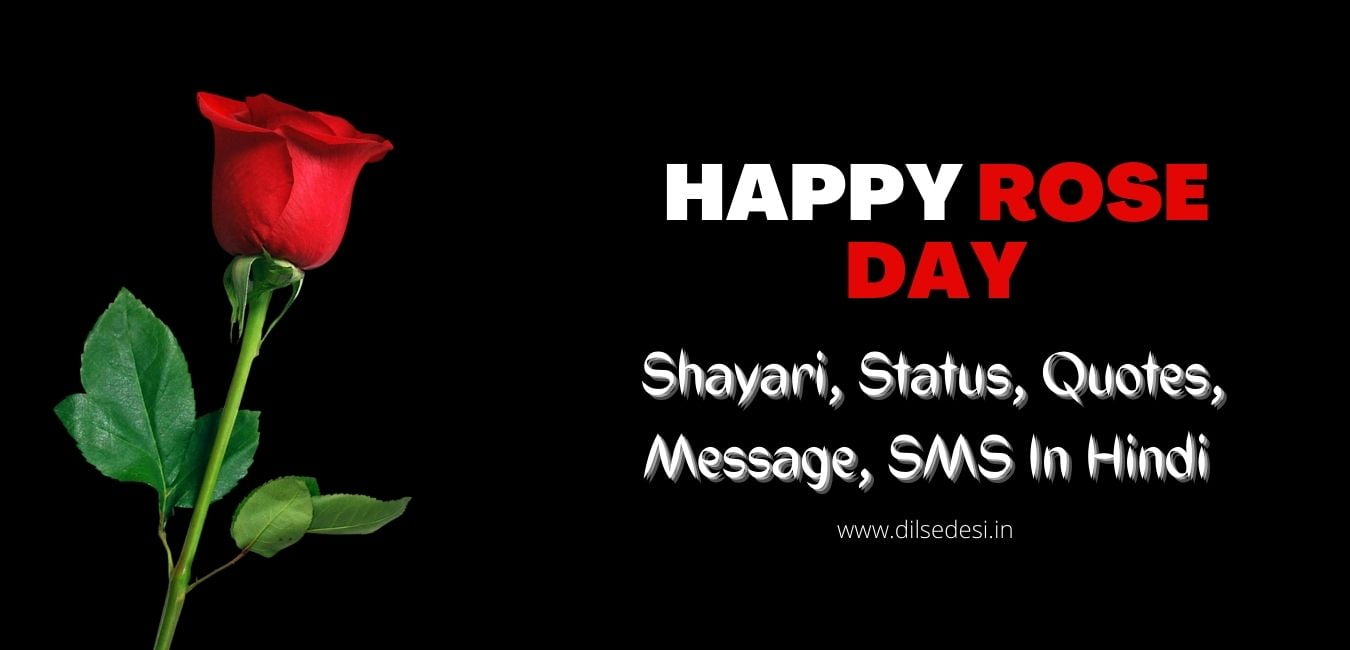 Best Rose Day Shayari For Husband, Wife, Boyfriend, Girlfriend In Hindi