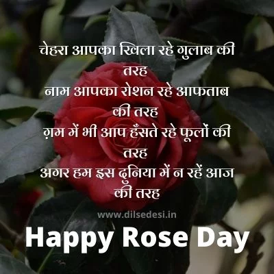 Best Rose Day Shayari For Husband, Wife, Boyfriend, Girlfriend In Hindi