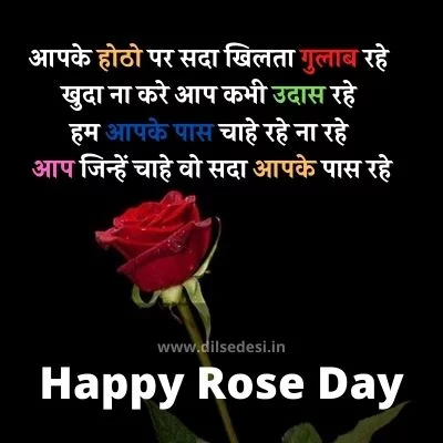 Rose Day 2022 Shayari & Love Messages: Romantic Quotes, WhatsApp Status,  SMS, Hearty Wishes, Greetings, Colourful Rose Wallpapers To Kick Off  Valentine Week Celebrations | 🙏🏻 LatestLY