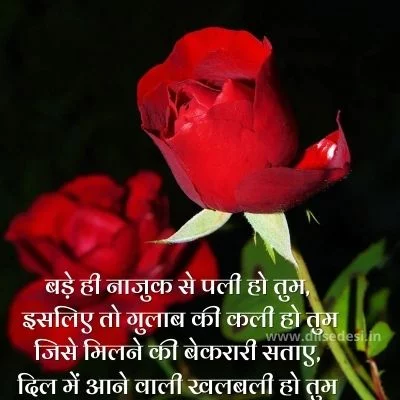 Best Rose Day Shayari For Husband, Wife, Boyfriend, Girlfriend In Hindi