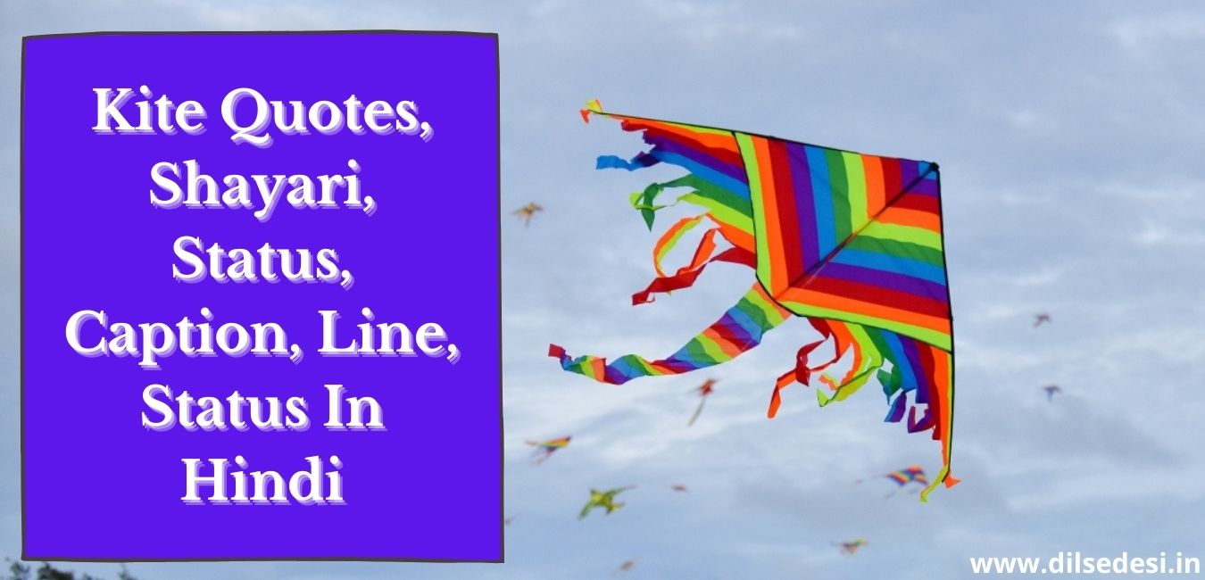 Kite Quotes, Shayari, Status, Caption, Line, Status In Hindi
