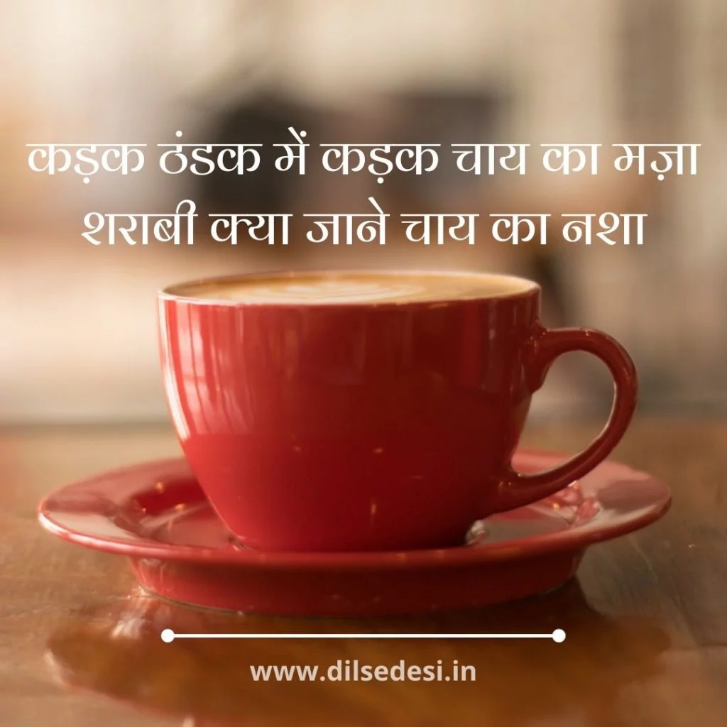 Tea lover quotes Morning Tea quotes Tea quotes in Hindi