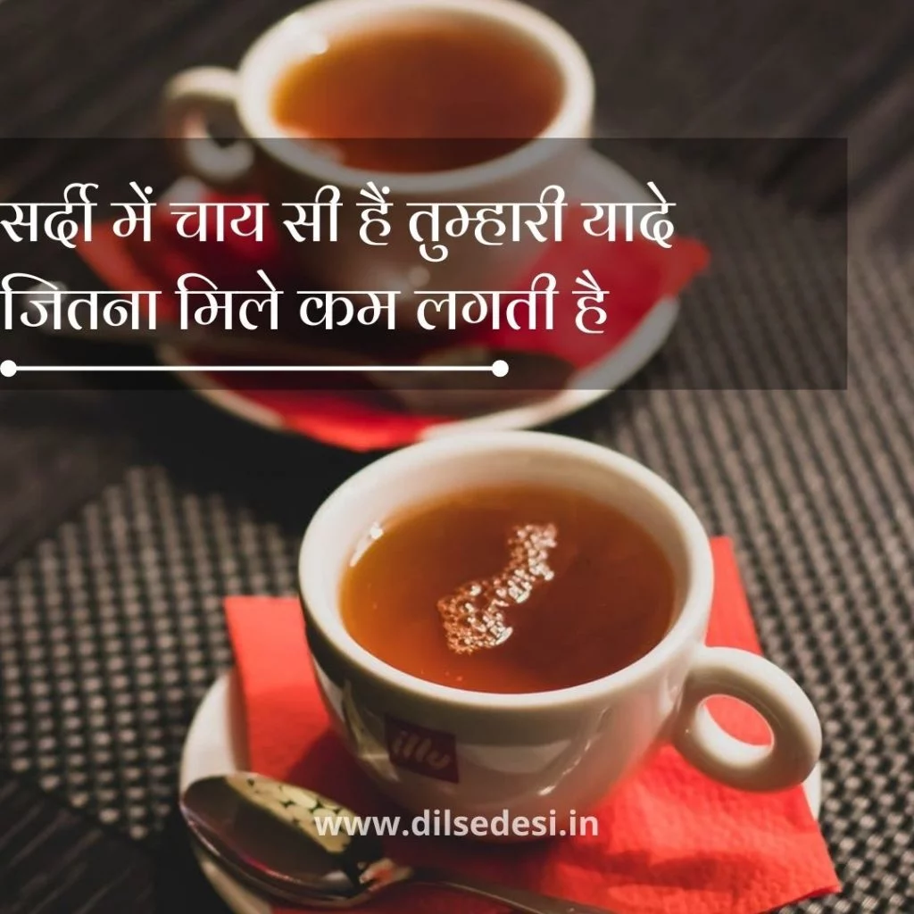 Tea lover quotes Morning Tea quotes Tea quotes in Hindi